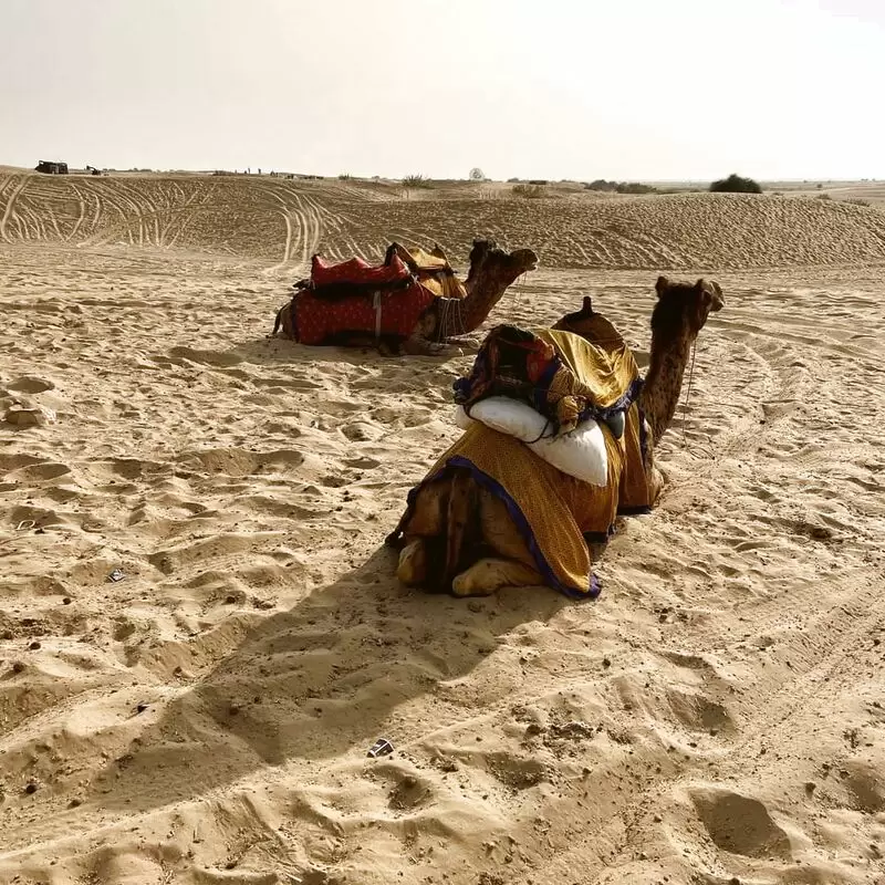 Sam sand dune jaisalmer