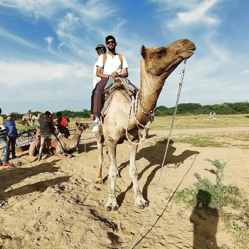 Jimmy camel safari jaisalmer