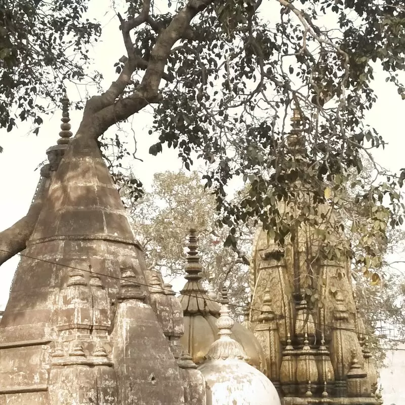 Shri Kashi Vishwanath Temple