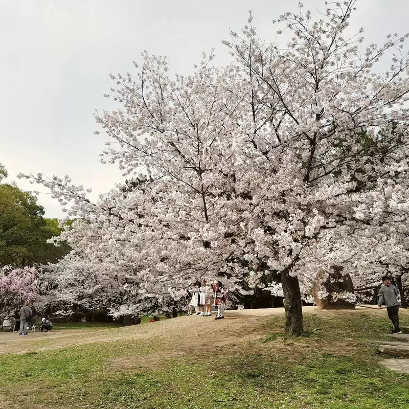 Nagai Park