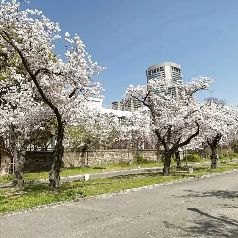 Kema Sakuranomiya Park