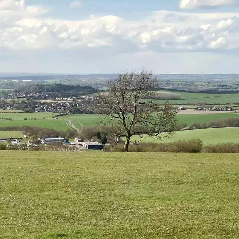 National Trust Dunstable Downs and Whipsnade Estate