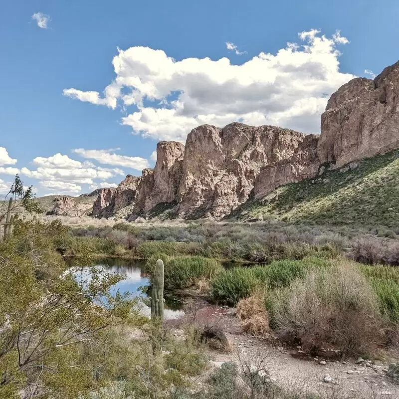 Tonto National Forest