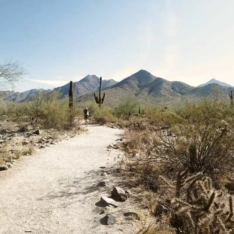 Gateway Trailhead McDowell Sonoran Preserve