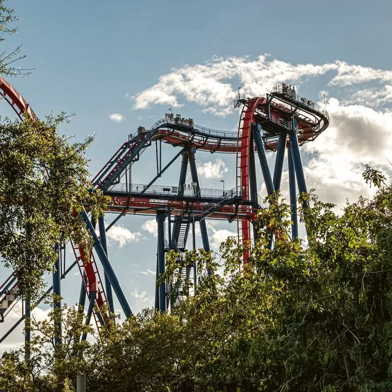 Busch Gardens Tampa Bay