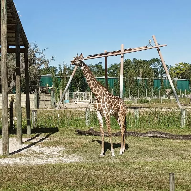 ZooTampa at Lowry Park