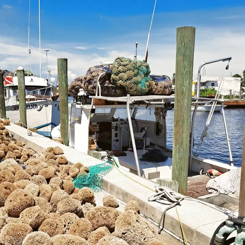 Tarpon Springs Sponge Docks