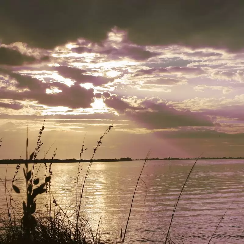 Emerson Point Preserve