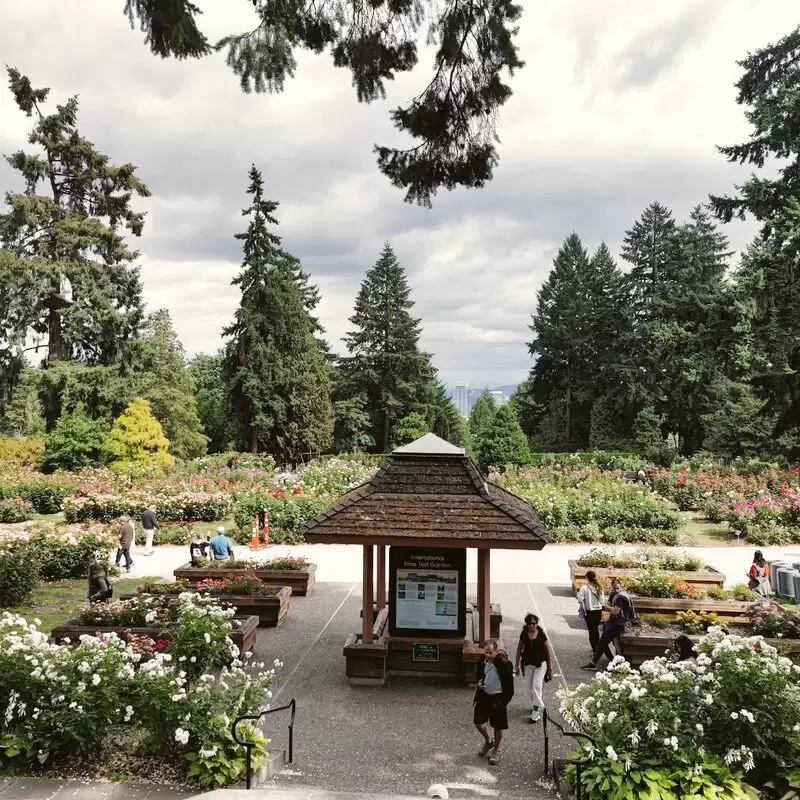 International Rose Test Garden