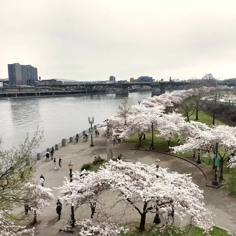 Tom McCall Waterfront Park