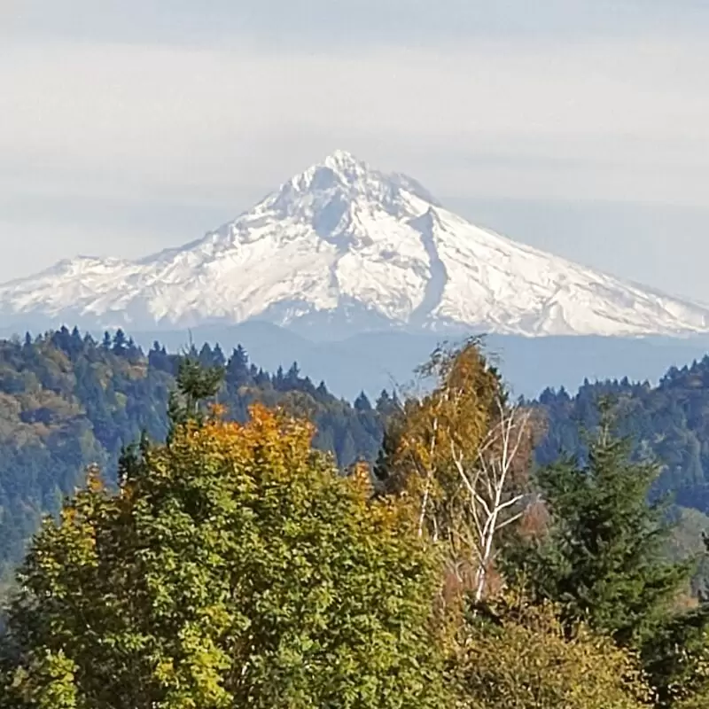 Powell Butte Nature Park