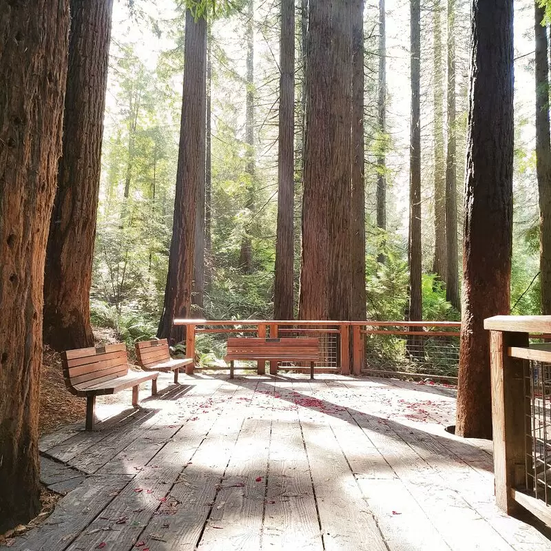 Hoyt Arboretum