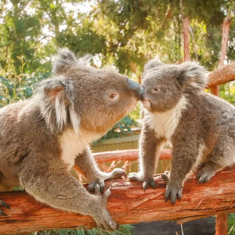 Ballarat Wildlife Park