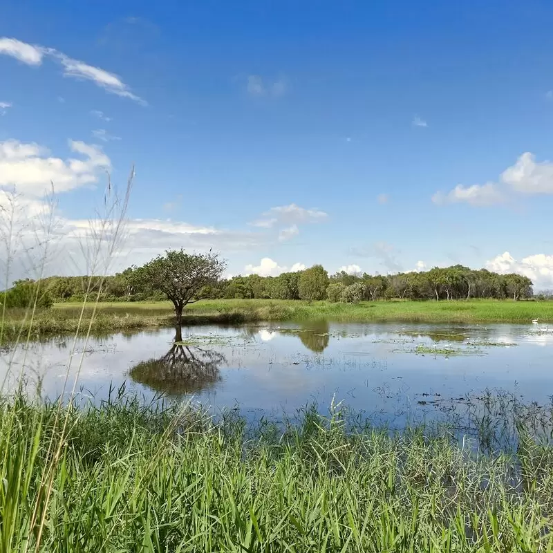 Townsville Town Common Conservation Park