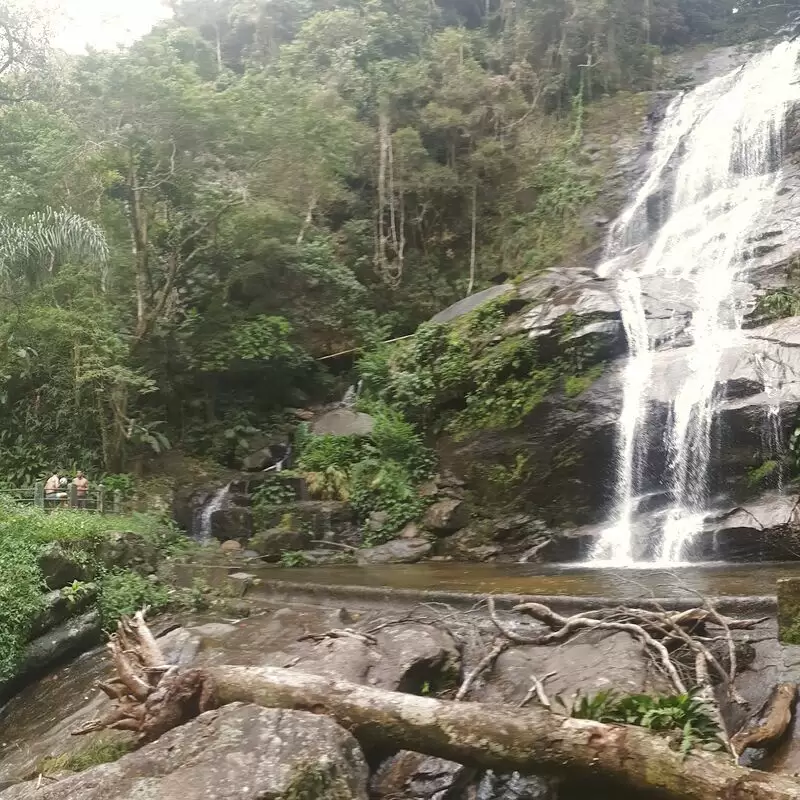 Tijuca National Park