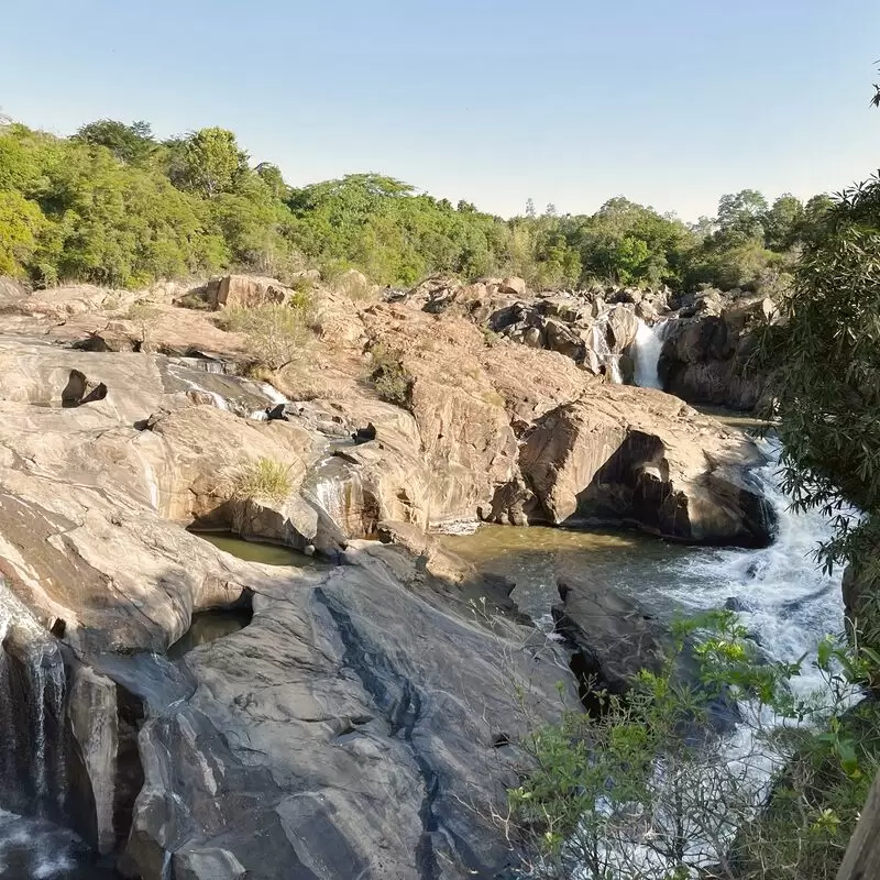 Lowveld National Botanical Garden