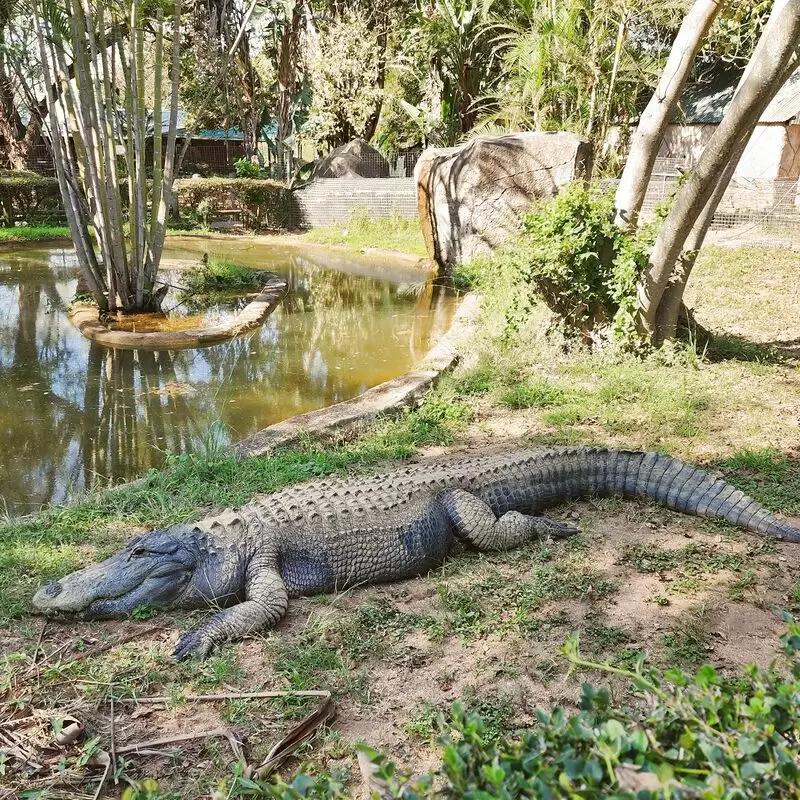 Perry's Bridge Reptile Park