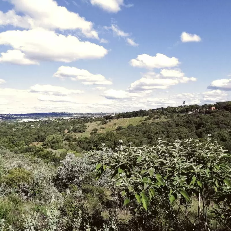 Moreleta Kloof Nature Reserve