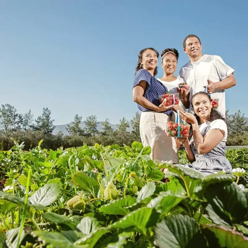 Redberry Farm