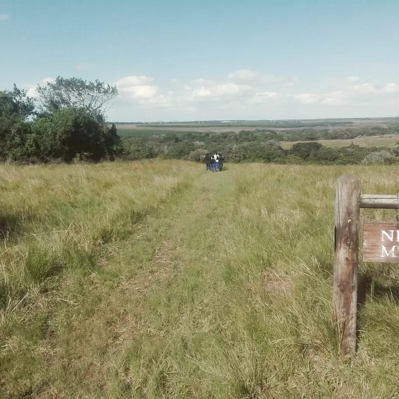 Enseleni Nature Reserve