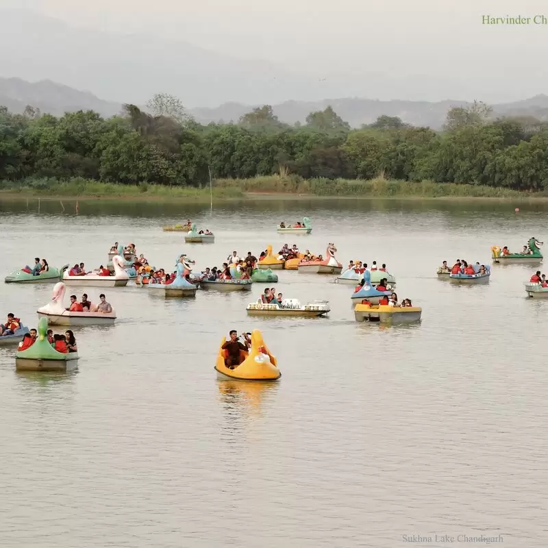 Sukhna Lake Chandigarh