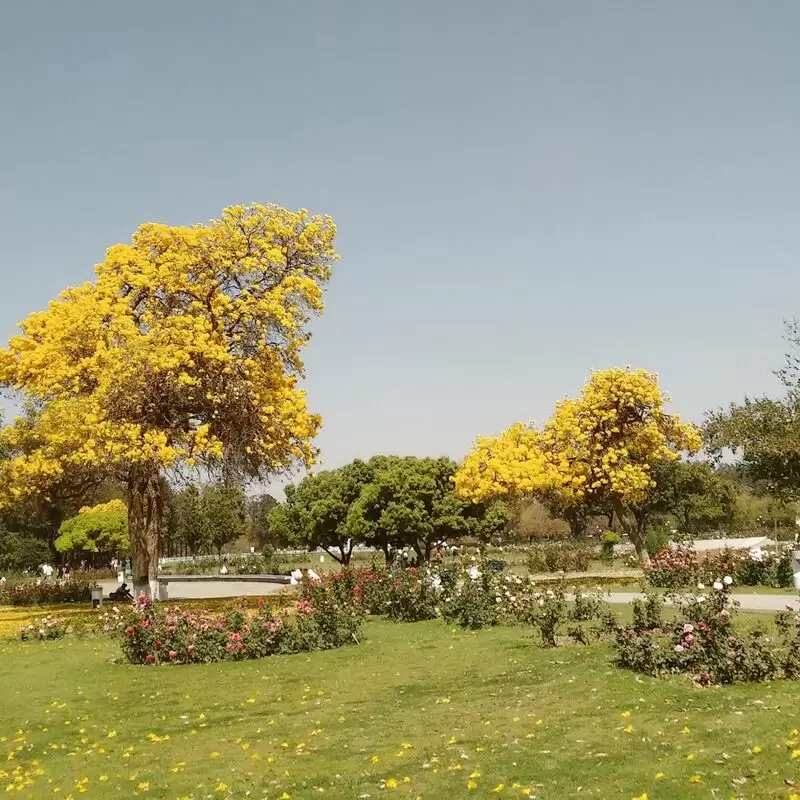 Zakir Hussain Rose Garden