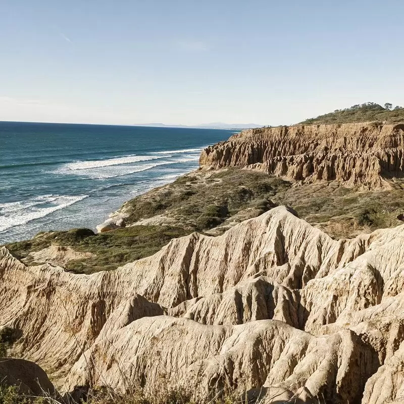 Torrey Pines State Natural Reserve