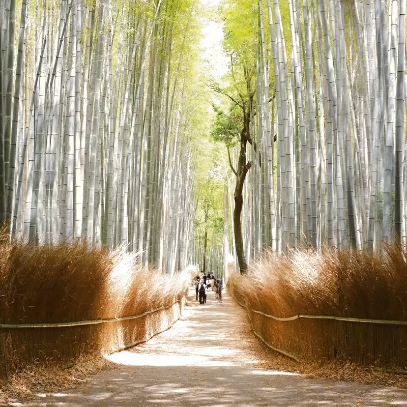 Arashiyama