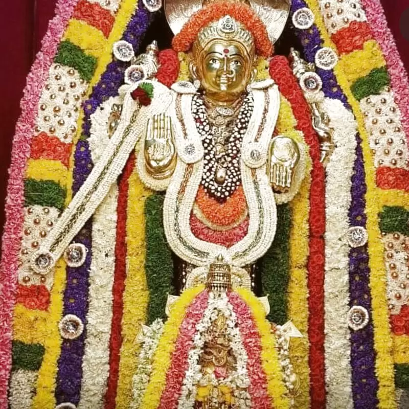 Adhishakthyathmaka Shri Annapurneshwari Devi Temple Horanadu)