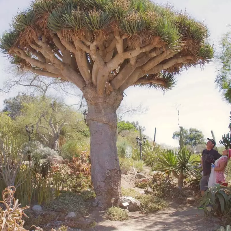 San Diego Botanic Garden