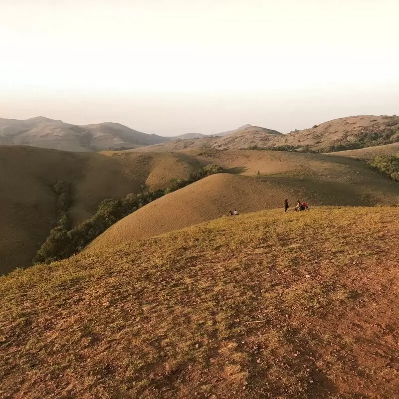 Kyatanamakki Gudda View