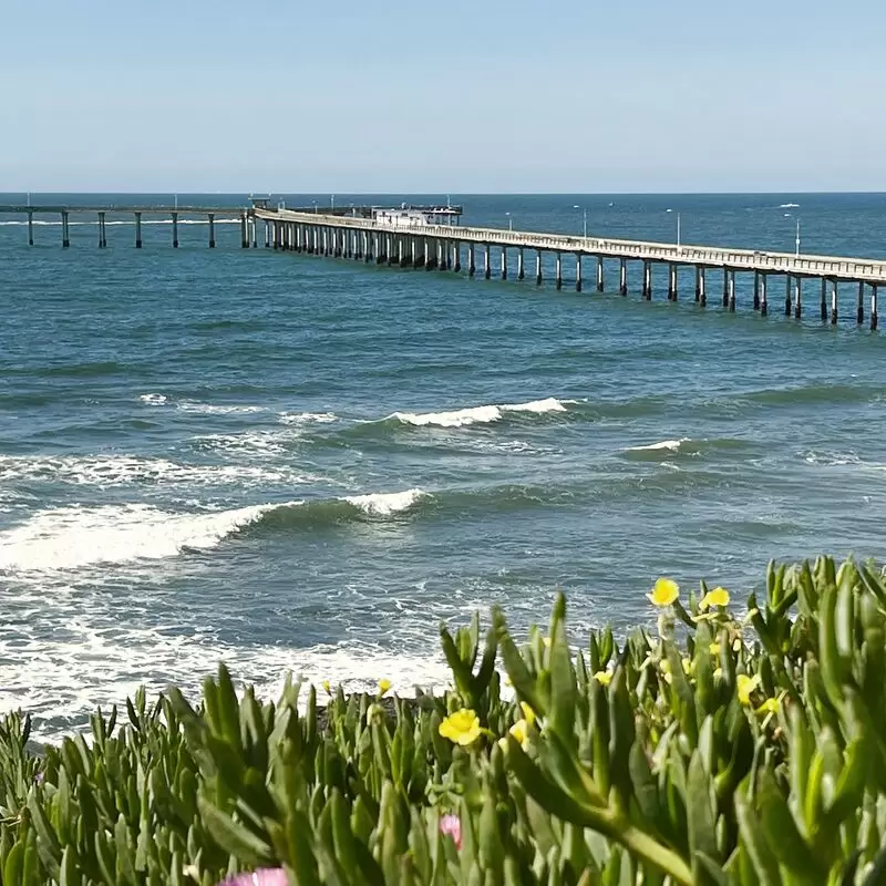 Ocean Beach Pier