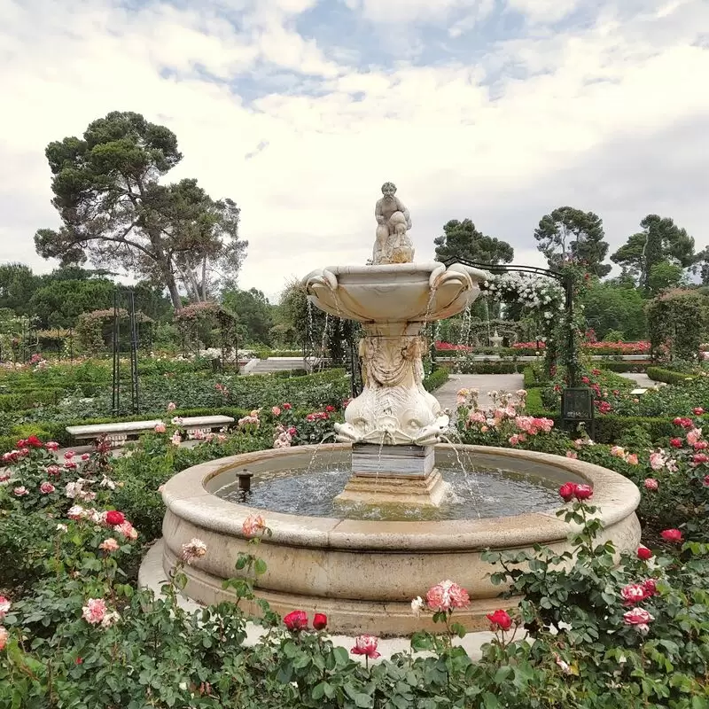 Rose Garden