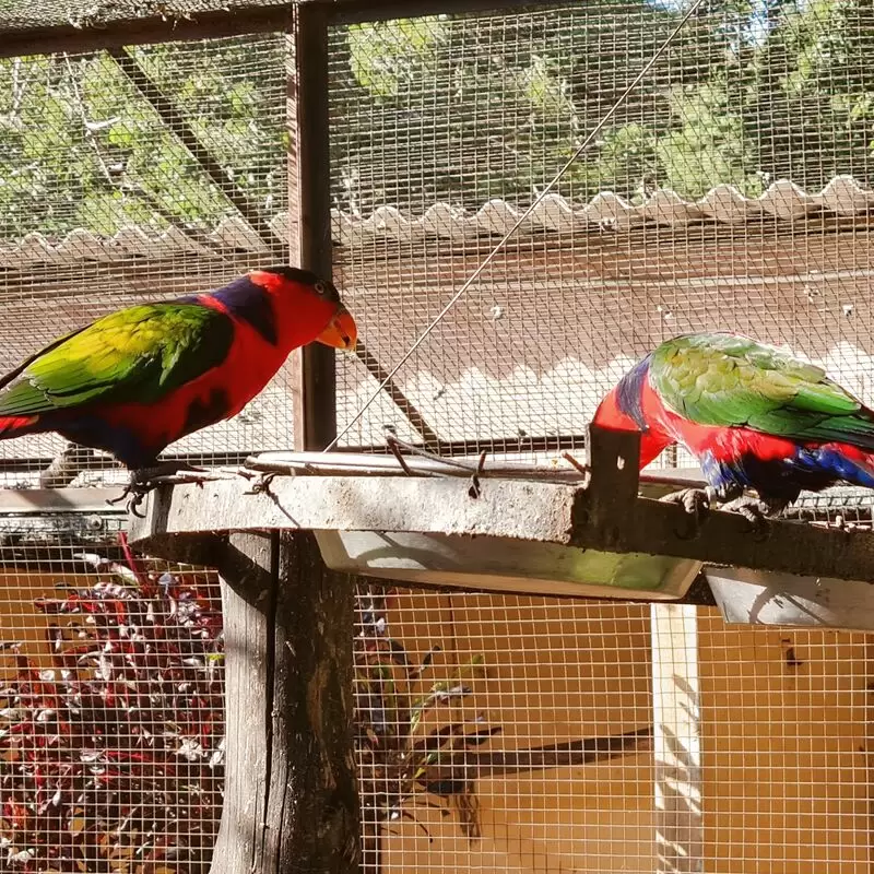 Umgeni River Bird Park