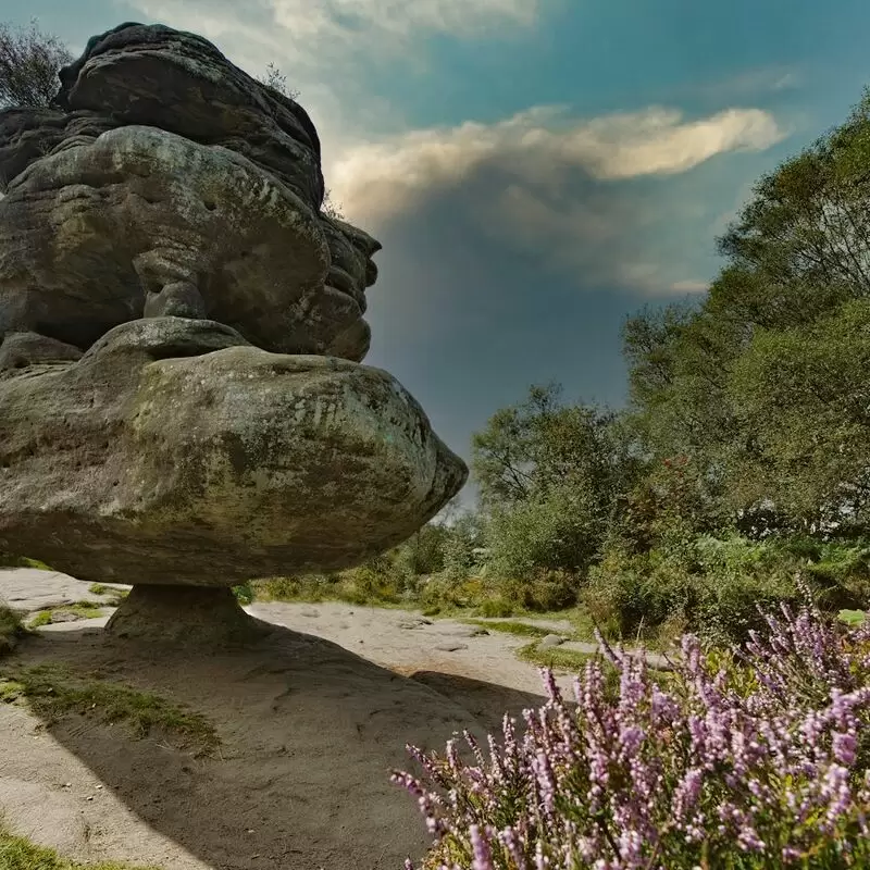 National Trust Brimham Rocks