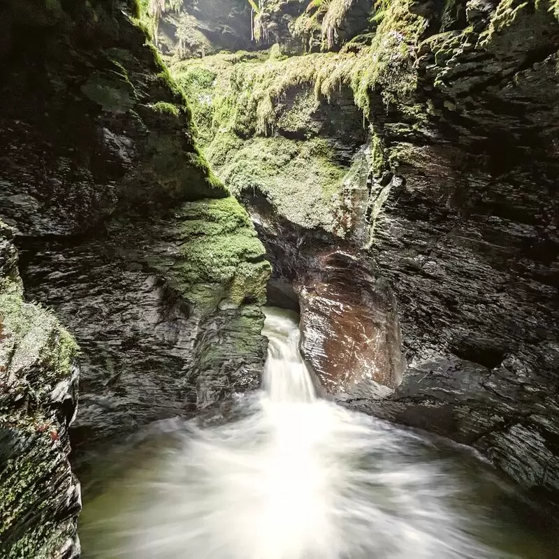 National Trust Lydford Gorge