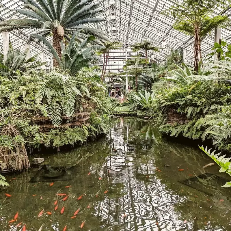 Garfield Park Conservatory Reservations Required