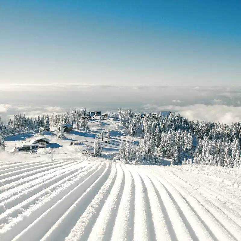 Grouse Mountain