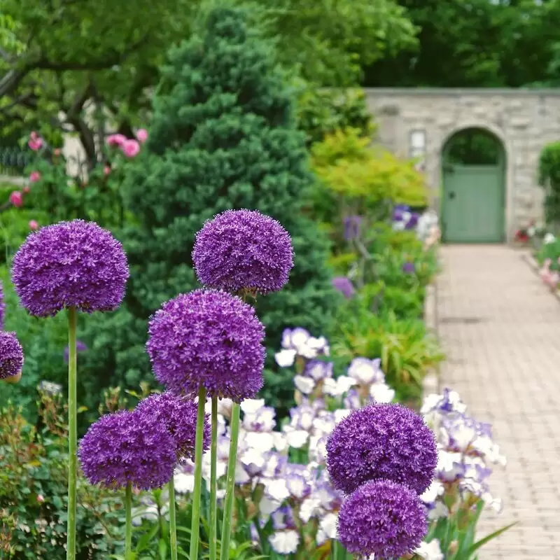 The Ewing and Muriel Kauffman Memorial Garden