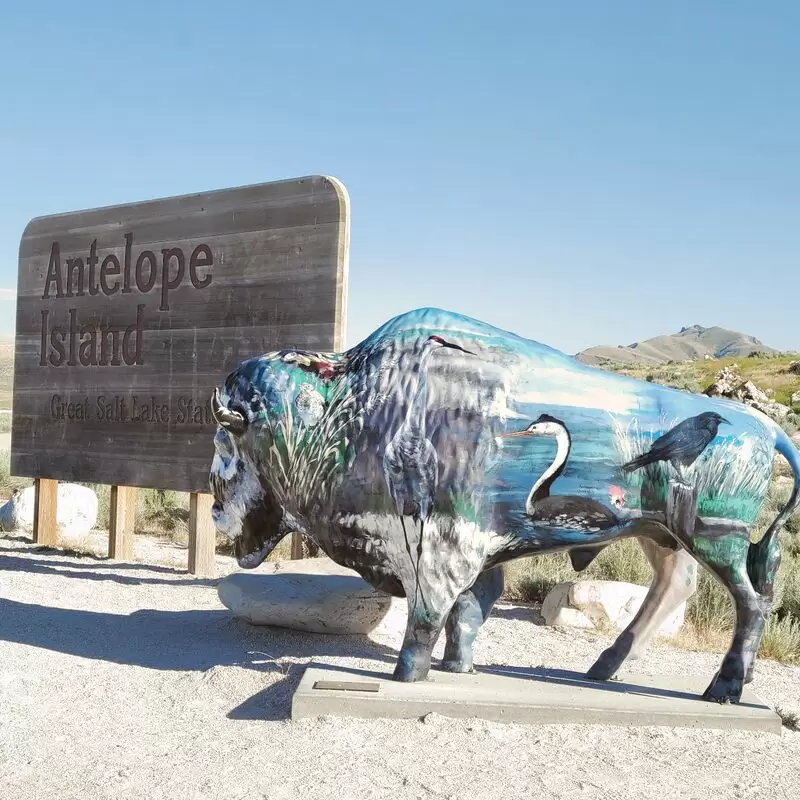 Antelope Island State Park