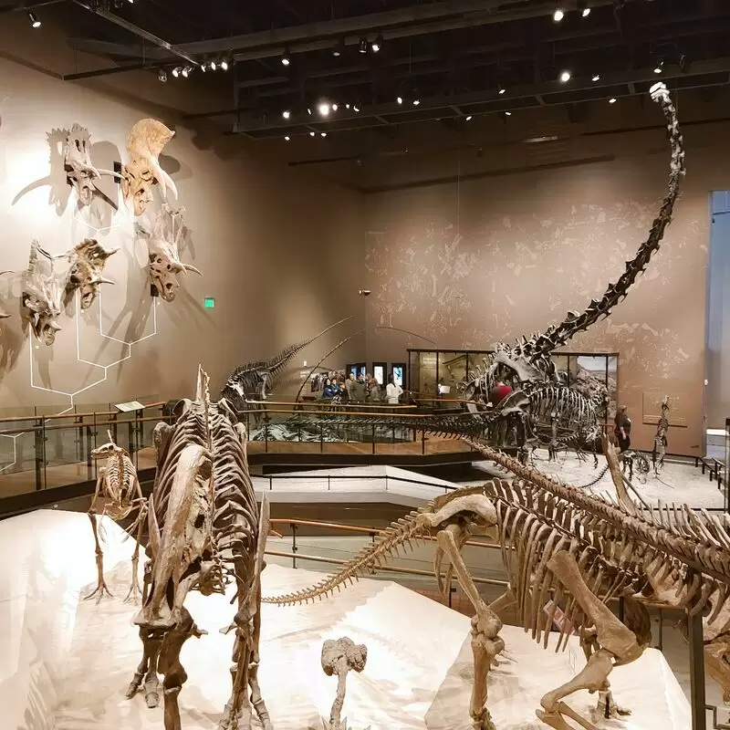 Natural History Museum of Utah