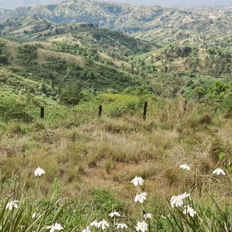 PheZulu Safari Park