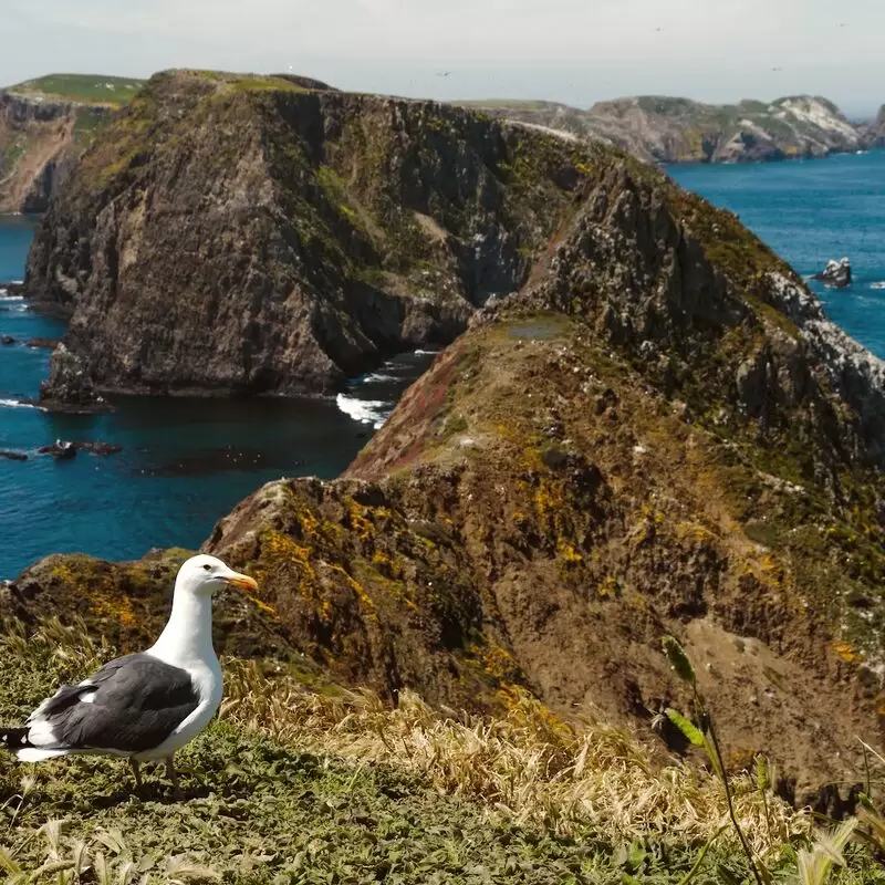 Channel Islands National Park