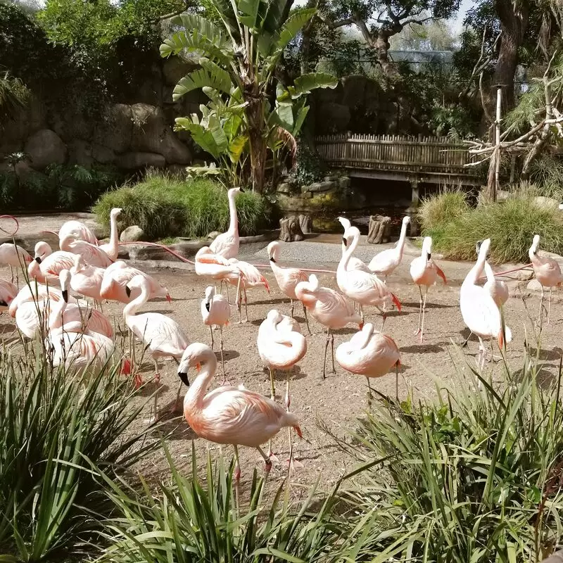 Santa Barbara Zoo