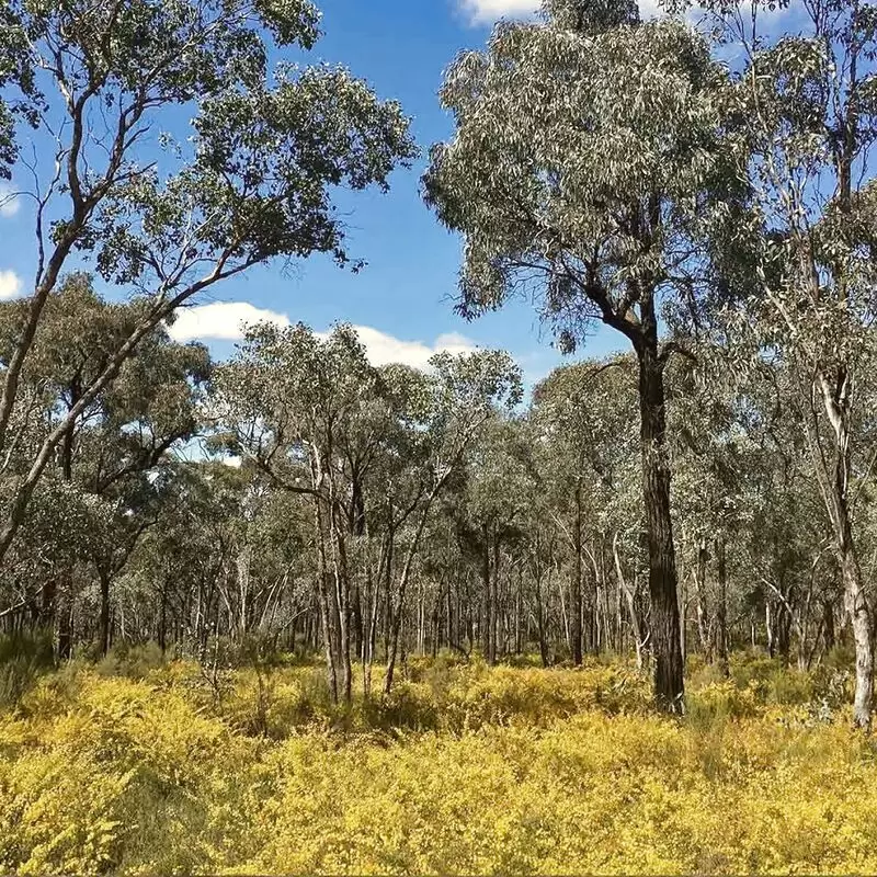 Greater Bendigo National Park