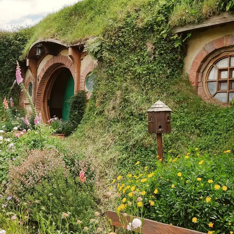 Hobbiton Movie Set Tours