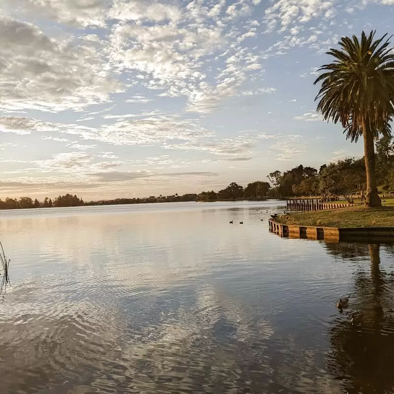 Hamilton Lake Domain