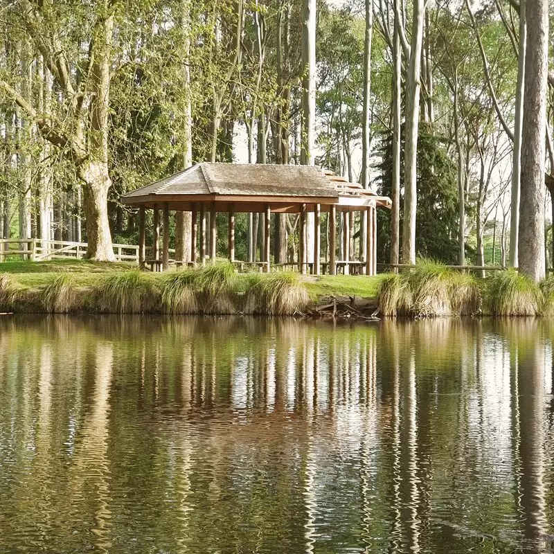 Taitua Arboretum