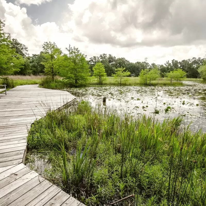 Houston Arboretum & Nature Center