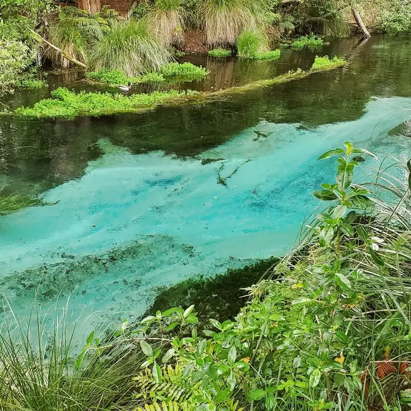 Hamurana Springs